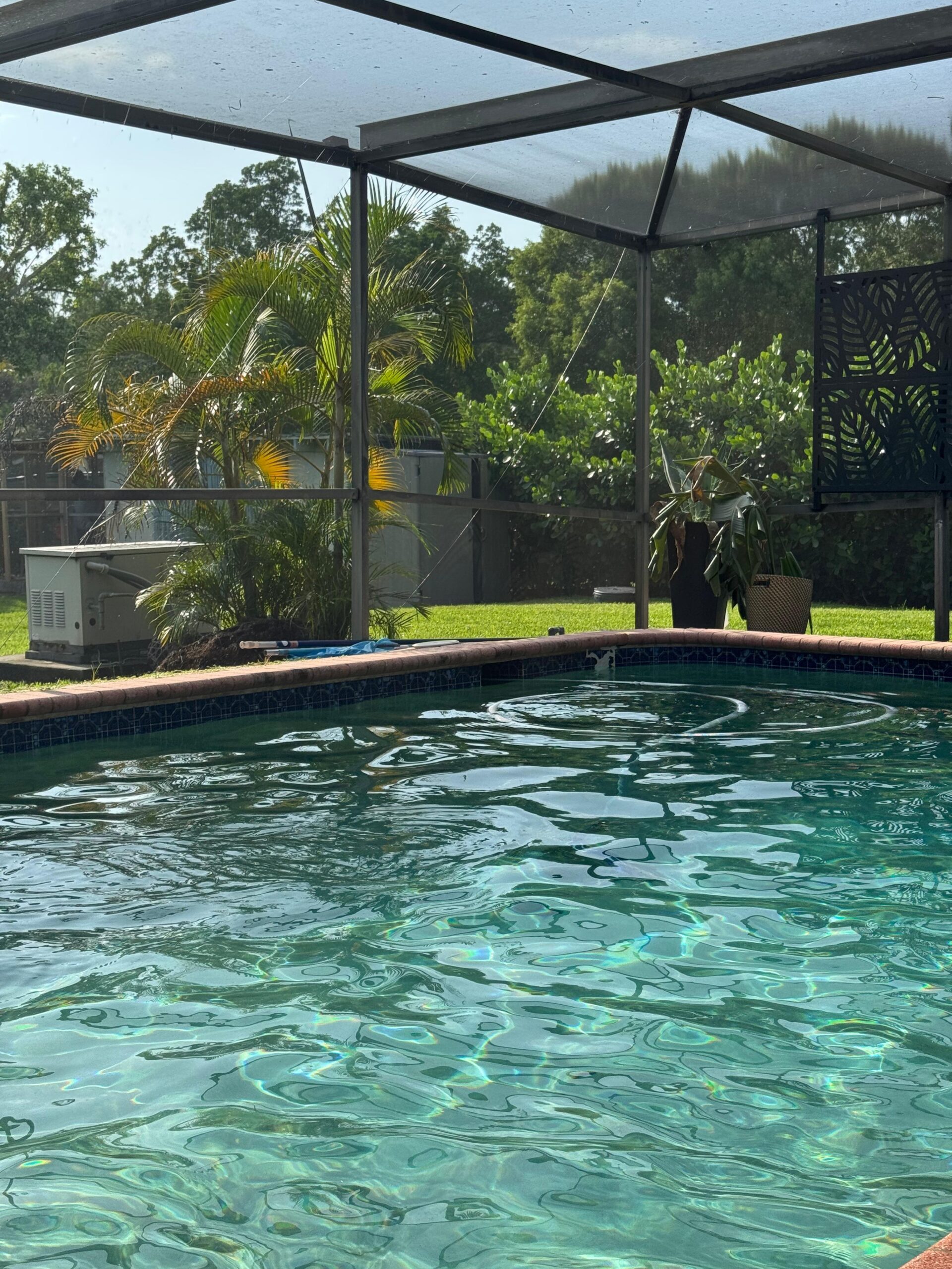 Poolside Luxe completed pool cleaning project
